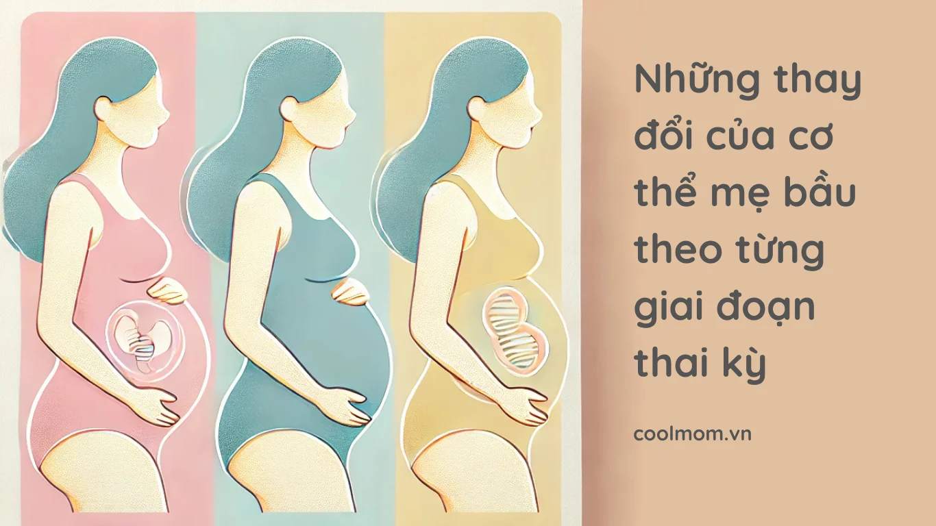 Những thay đổi của cơ thể mẹ bầu theo từng giai đoạn thai kỳ